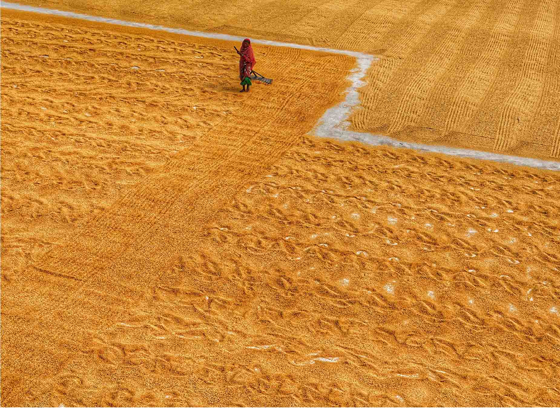 L’impact des pratiques agricoles durables sur les épices : un voyage vers des saveurs d’exception